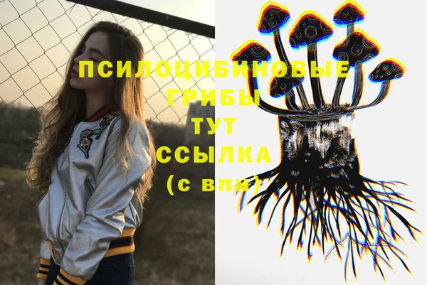 ALPHA-PVP Белокуриха