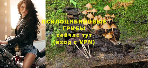 ALPHA-PVP Белокуриха