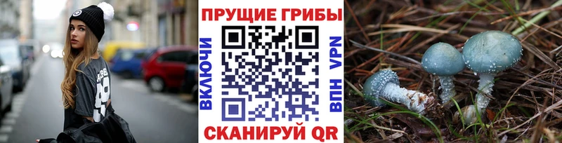 как найти   Видное  Псилоцибиновые грибы мухоморы 